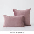 Inyahome Soft Velvet Cushion Cover Pink Grey Beige Green Pillow Cover Bedroom Sofa Decoration PillowCase 30x50cm/45x45cm Pillows