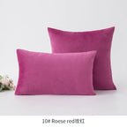 Inyahome Soft Velvet Cushion Cover Pink Grey Beige Green Pillow Cover Bedroom Sofa Decoration PillowCase 30x50cm/45x45cm Pillows