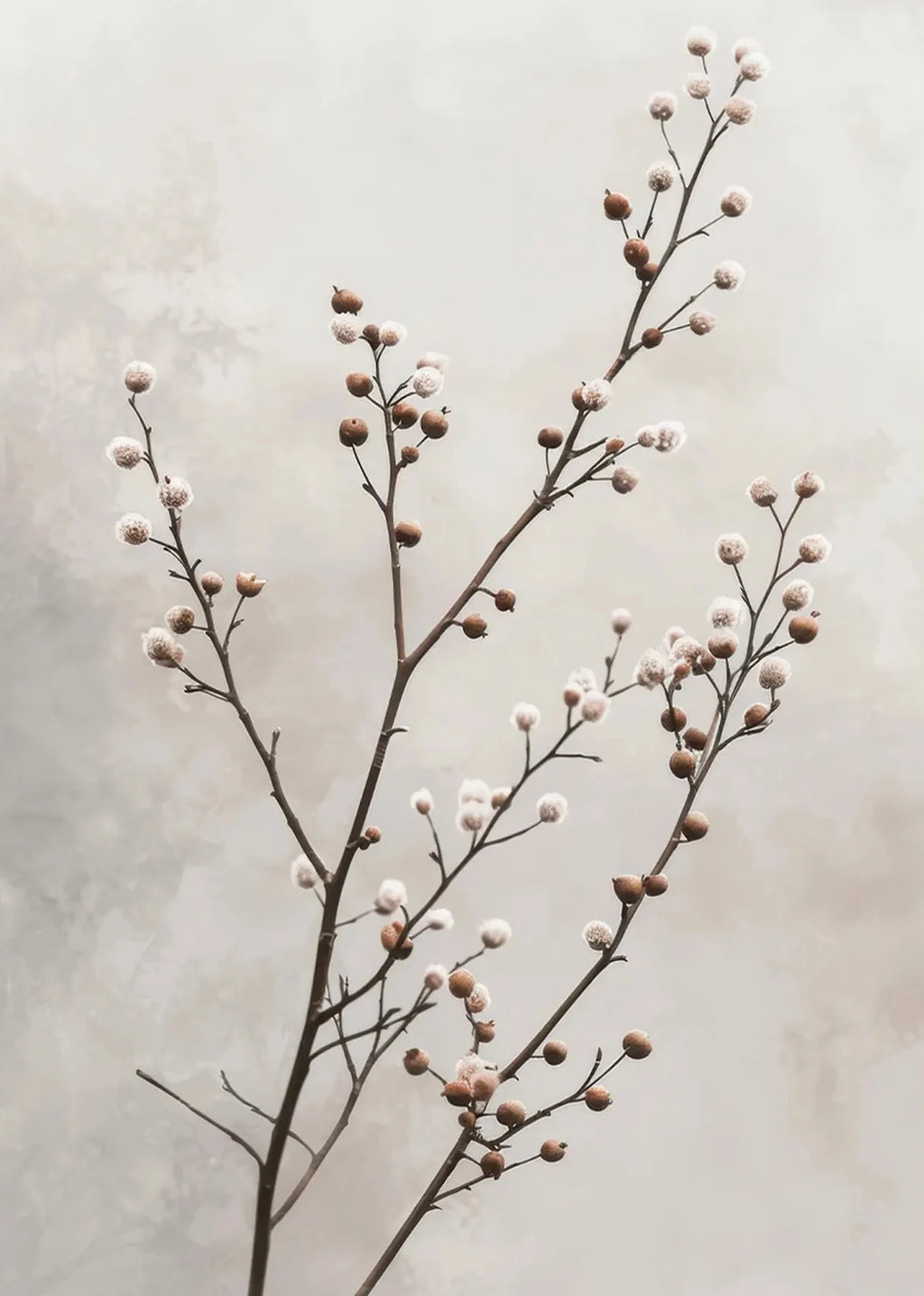 Botanical Canvas Wall Art Print | Wovetsa