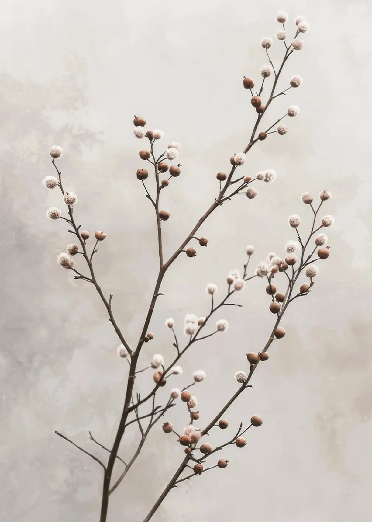 Botanical Canvas Wall Art Print | Wovetsa