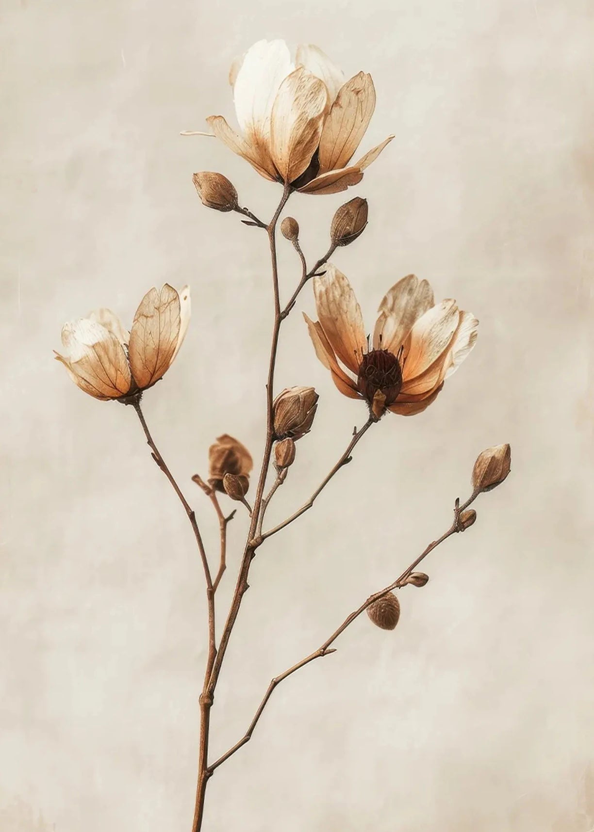 Botanical Canvas Wall Art Print | Wovetsa
