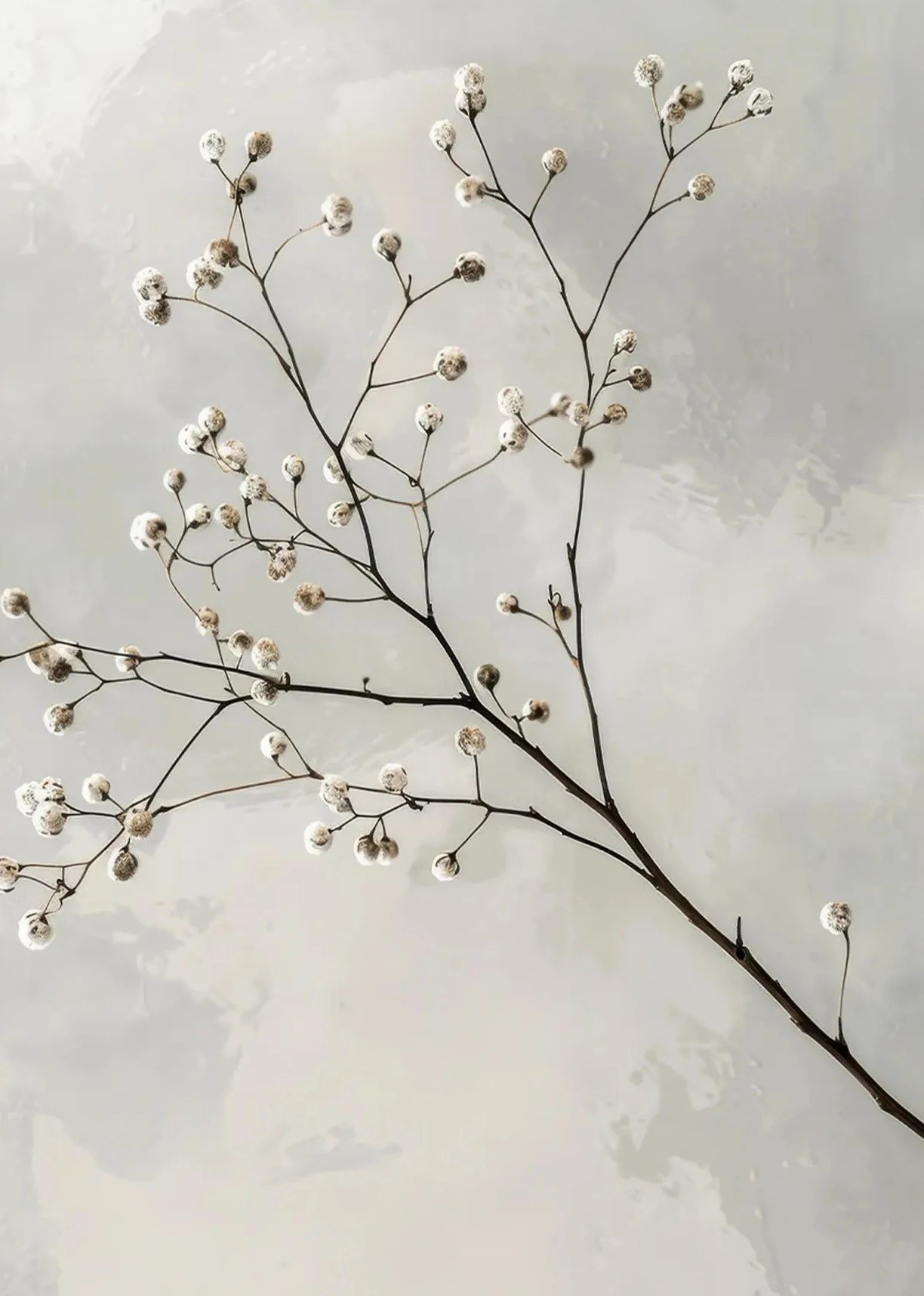 Botanical Canvas Wall Art Print | Wovetsa
