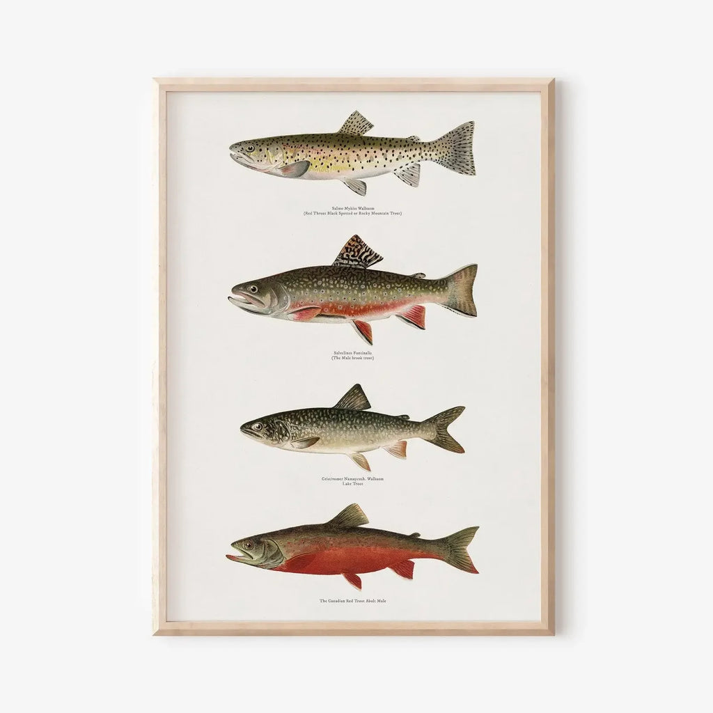 Coastal Canvas Wall Art | Wovetsa