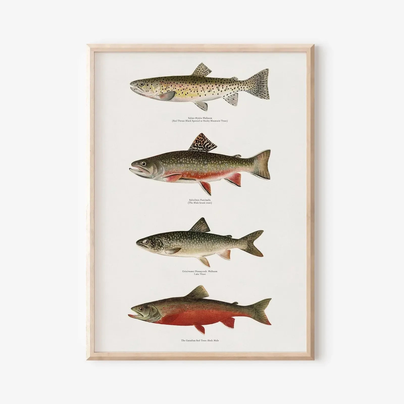 Coastal Canvas Wall Art | Wovetsa