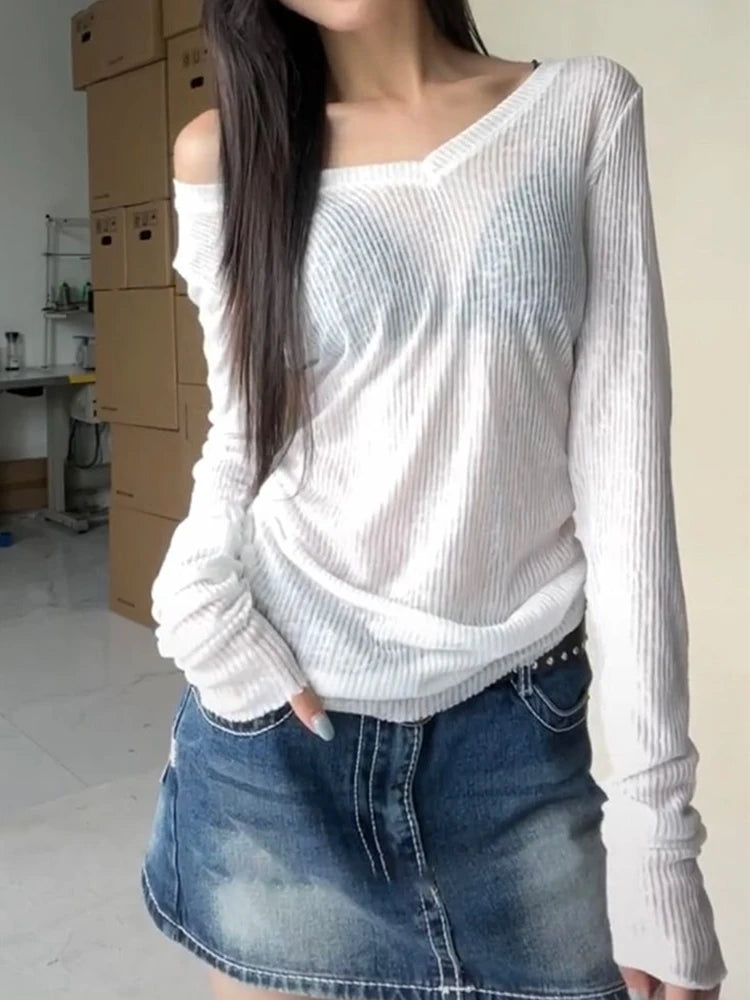Sheer Long Sleeve Slim Top | Wovetsa