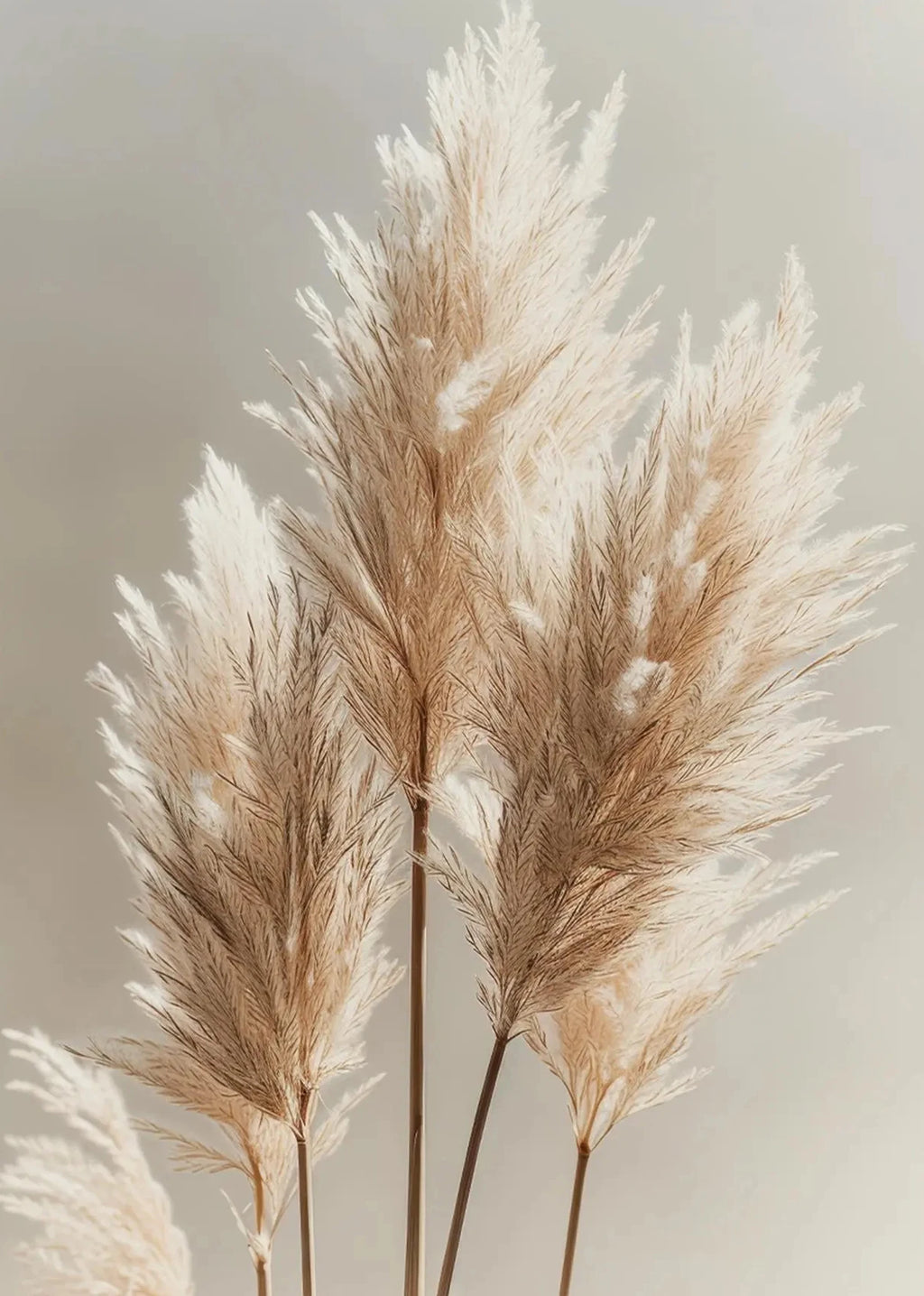 Botanical Canvas Wall Art Print | Wovetsa